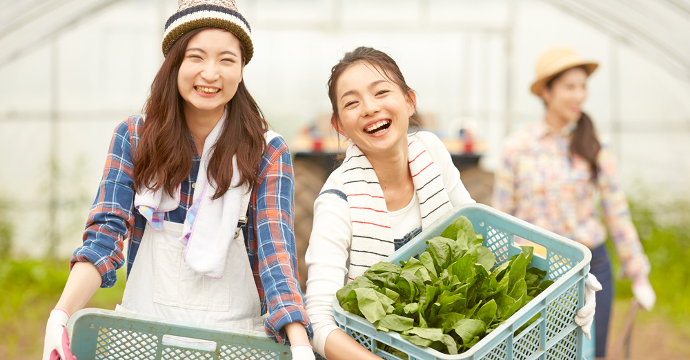 全国の笑顔が集まるお店! ベネちゃんSHOP　出店のご案内