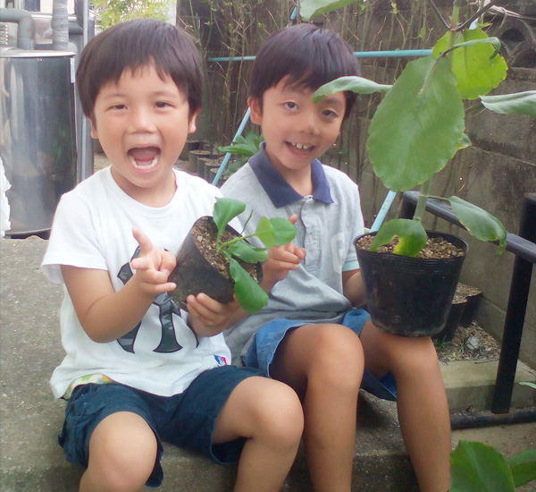 幼稚園・小学低学年などでこの不思議な葉っぱで、育てる喜びを体験してね♪- 育てるエコ会　出店者イメージ | ベネちゃんSHOP ベネシード