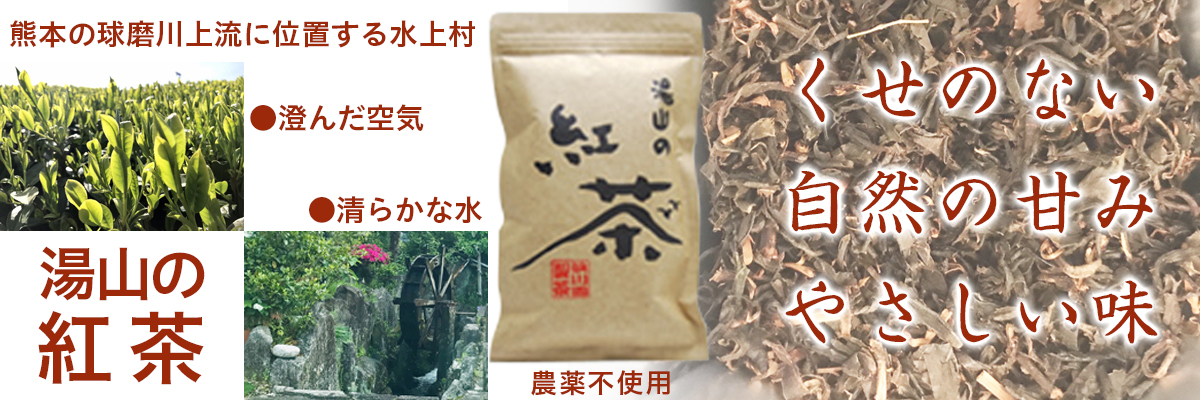 湯山の紅茶 - 商品内容説明 ベネちゃんSHOP出店者：よかばい市場| ベネちゃんSHOP ベネシード
