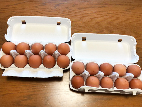 数量限定 竹鶏あかたまご 赤玉 10個入P 竹鶏ファーム 宮城県産 国産 赤卵 卵 タマゴ 生