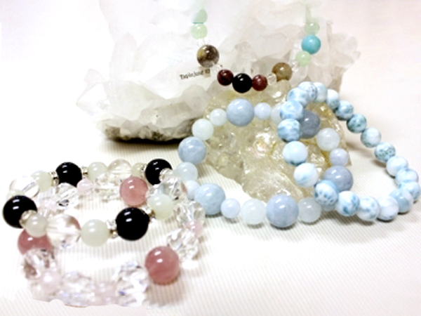 ぴゅあ ら は ジャックラッセルテリア専門ブリーダー ピュア Amp Petmd Com