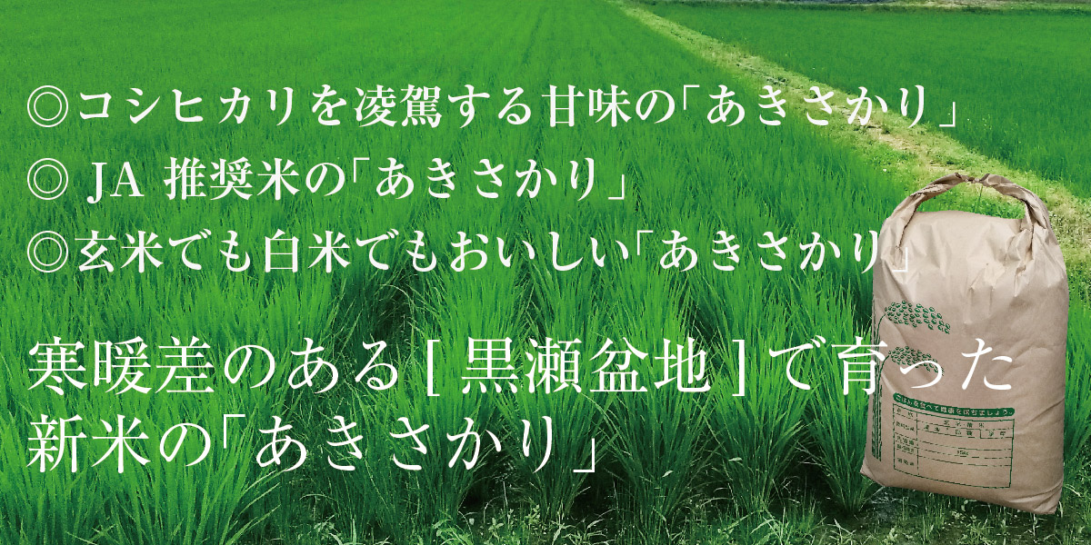 JA推奨米「あきさかり」15kg □10月中旬頃より発送 | ベネちゃんSHOP「全国の笑顔が集まるお店」｜ベネシード