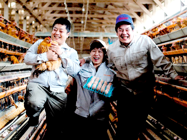 有限会社花井養鶏場 ベネちゃんshop 全国の笑顔が集まるお店 ベネシード