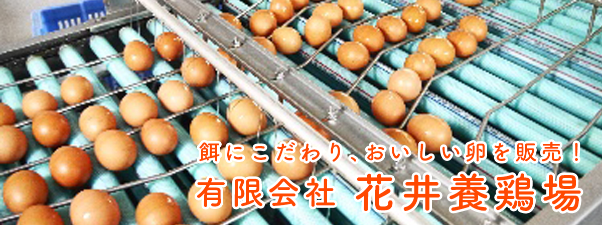 有限会社花井養鶏場 ベネちゃんshop 全国の笑顔が集まるお店 ベネシード