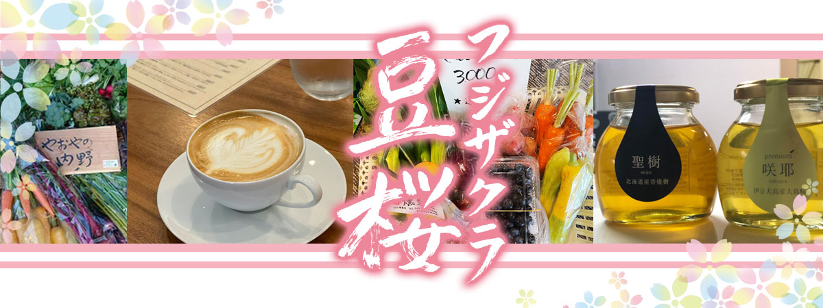 豆桜〜フジザクラ〜　の出店者メインイメージ画像 | ベネちゃんSHOP ベネシード
