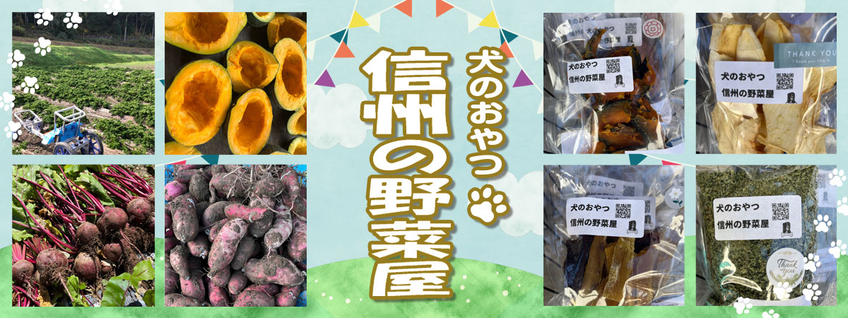 犬のおやつ 信州の野菜屋 の出店者メインイメージ画像 | ベネちゃんSHOP ベネシード