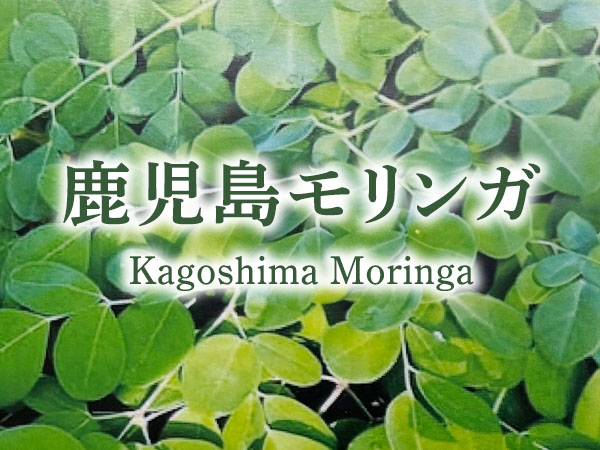 美生舎 出店者のイメージ | ベネちゃんSHOP ベネシード