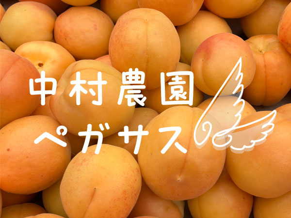 中村農園　ペガサス　出店者イメージ | ベネちゃんSHOP出店者　ベネシード