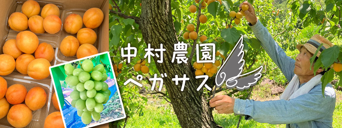 中村農園 ペガサス の出店者メインイメージ画像 | ベネちゃんSHOP ベネシード