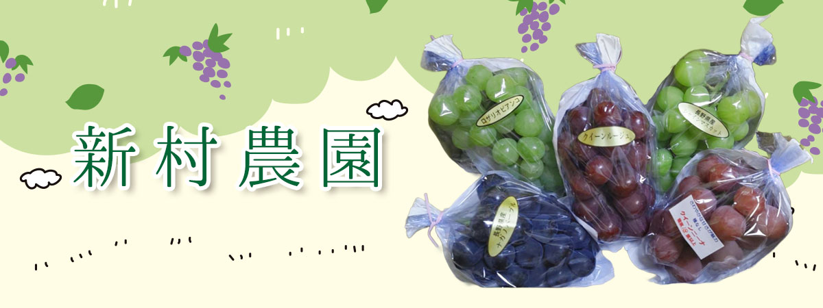新村農園 の出店者メインイメージ画像 | ベネちゃんSHOP ベネシード