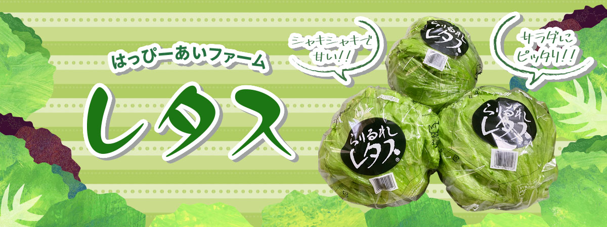 はっぴーあいファーム「レタス」　商品説明 ベネちゃんSHOP出店者：はっぴーあいファーム | ベネちゃんSHOP ベネシード