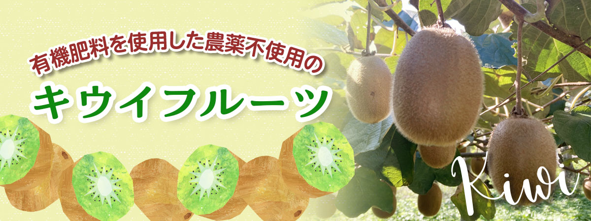 キウイフルーツ　商品説明 ベネちゃんSHOP出店者：新村農園 | ベネちゃんSHOP ベネシード